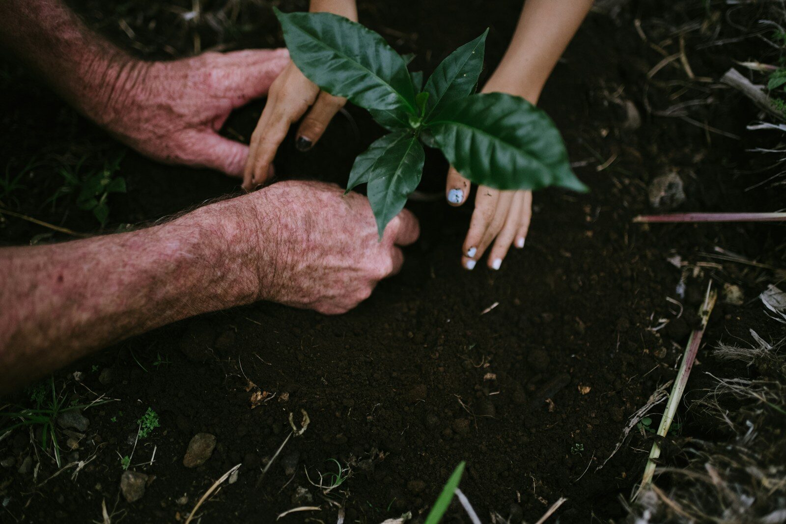The Highest ROI in Your Life Is Your Marriage